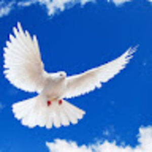 Meet your Posher, Paul